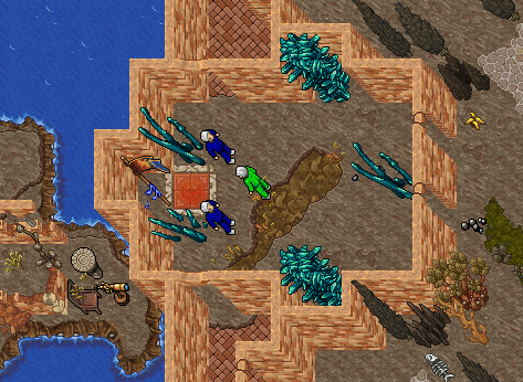 Capture The Flag